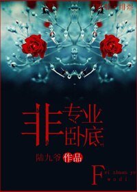 非专业卧底