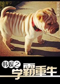 (韩娱同人)韩娱之学霸重生