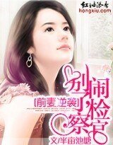 前妻逆袭:别闹了,检察官
