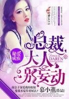 秘爱成疾,总裁大人别妄动