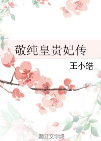 敬純皇貴妃傳