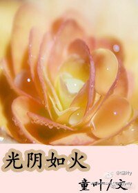 光阴如火(现代女尊)