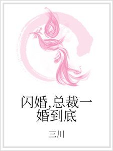 閃婚,總裁一婚到底