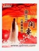 重生之閒妻