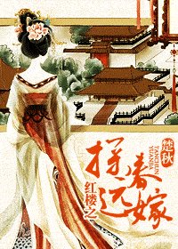 (红楼梦同人)红楼之探春远嫁