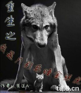 (賊貓同人)重生之我是月影烏瞳金絲虎