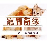 寵物奇緣