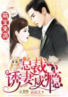 總裁誘妻成癮