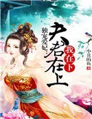獨寵愛妃:夫君在上,我在下