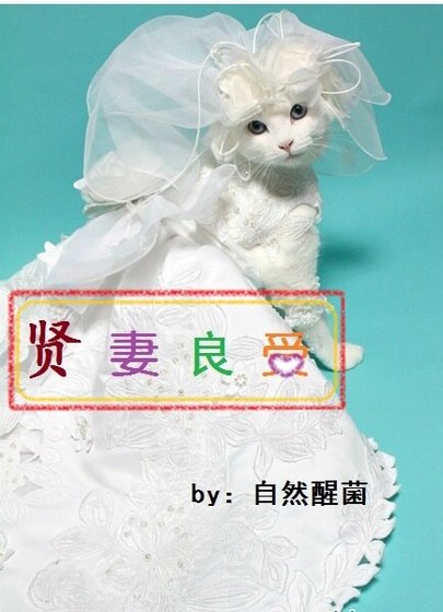 賢妻良受