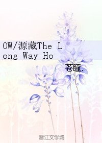 (守望先鋒同人)OW/源藏The Long Way Home