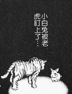 哔—!
