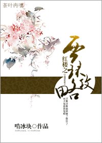 (紅樓同人)紅樓之賈環攻略