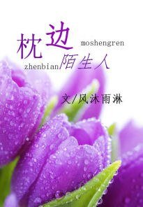 枕邊陌生人