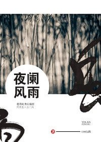 (BG/伪装者同人同人)伪装者同人之夜阑风雨