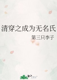 清穿之成為無名氏