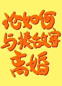 (綜漫同人)論如何與揍敵客離婚