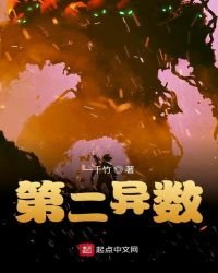 第二異數