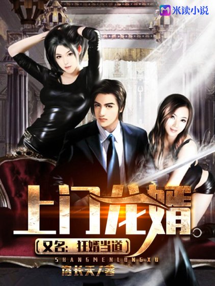 上門龍婿(又名:狂婿當道)