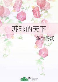 苏珏的天下