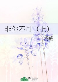 非你不可(上)
