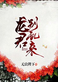 龙君别乱来