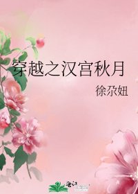 穿越之汉宫秋月