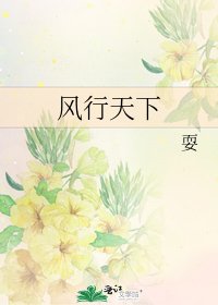 风行天下