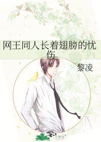 網王同人長著翅膀的憂傷