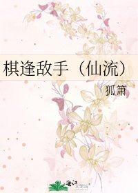 棋逢敵手(仙流)