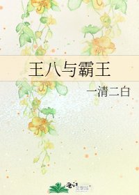 王八与霸王