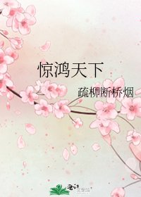 惊鸿天下