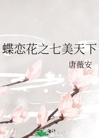 蝶戀花之七美天下