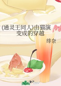 (通灵王同人)由猫演变成的穿越