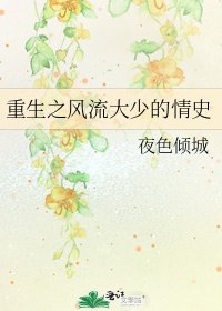 重生之风流大少的情史