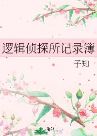 逻辑侦探所记录簿