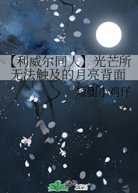 【利威尔同人】光芒所无法触及的月亮背面