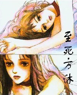 至死方休