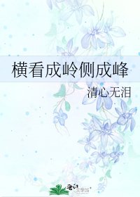 橫看成嶺側成峰