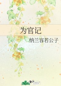 为官记