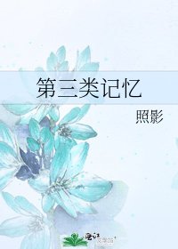 第三類記憶