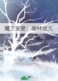 魔王寵妻:廢材逆天