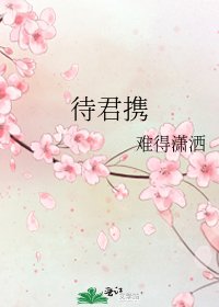 待君攜
