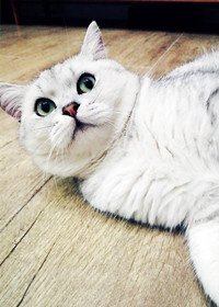 童話般美好