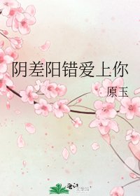 阴差阳错爱上你