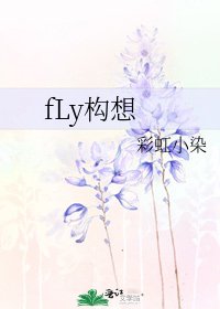 fLy構想