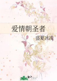 愛情朝聖者