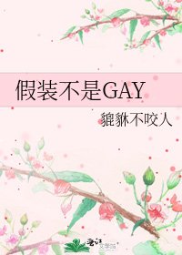 假裝不是GAY