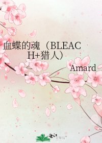 血蝶的魂(BLEACH+獵人)