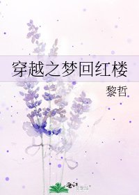 穿越之夢迴紅樓